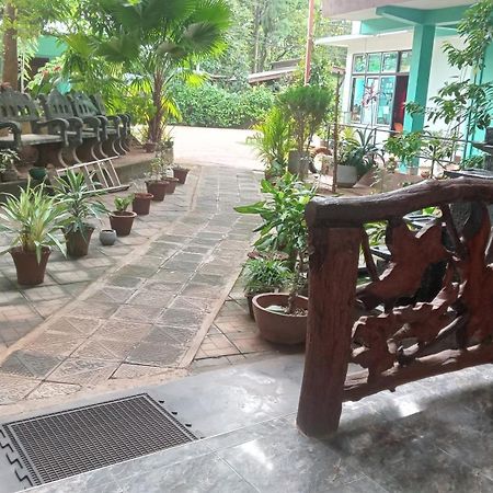 Sigiri Lion Lodge Sigiriya Buitenkant foto