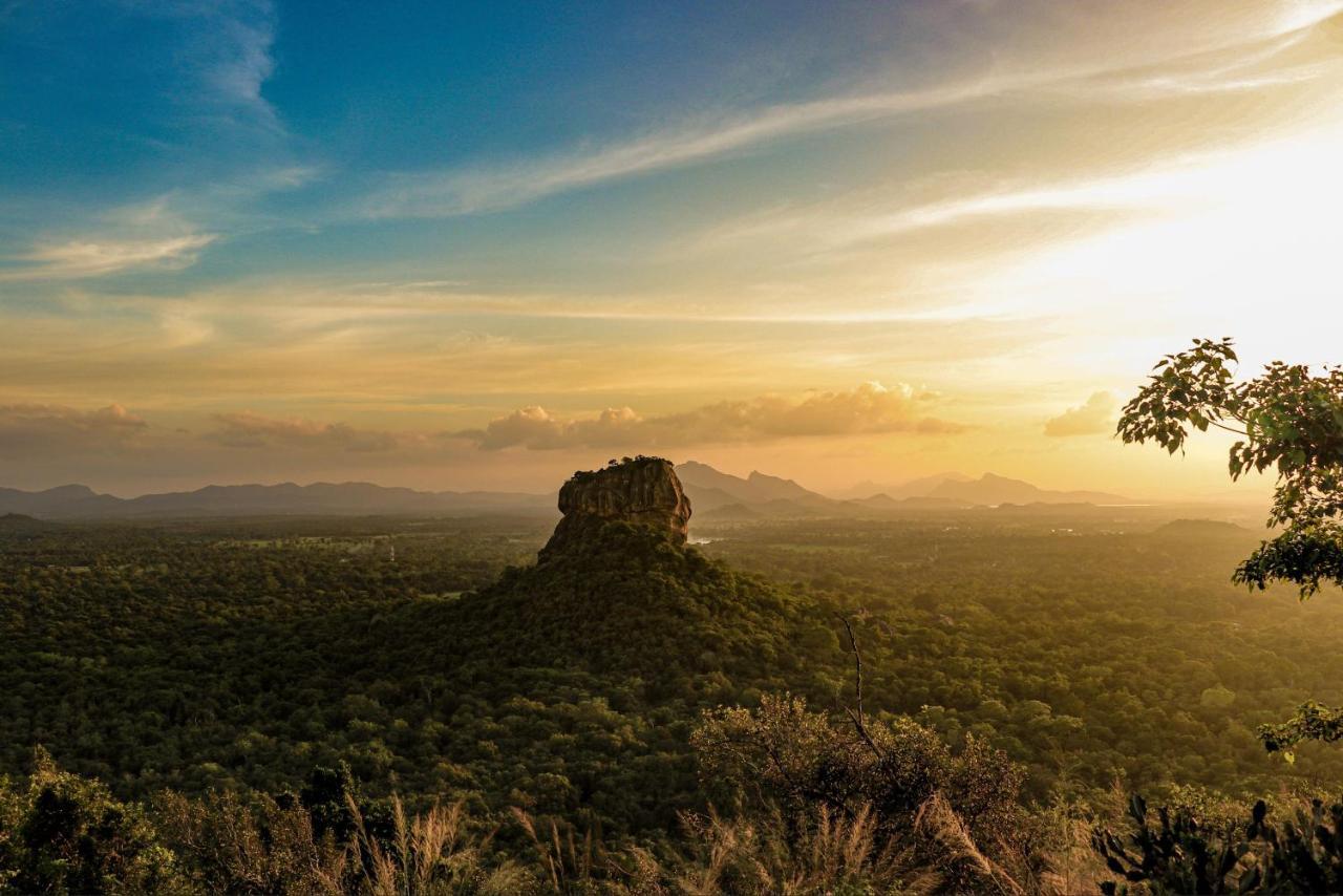 Sigiri Lion Lodge Sigiriya Buitenkant foto