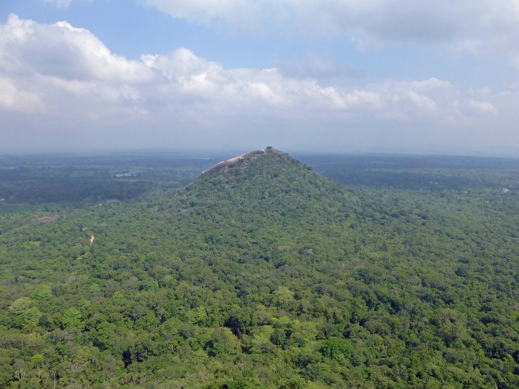 Sigiri Lion Lodge Sigiriya Buitenkant foto