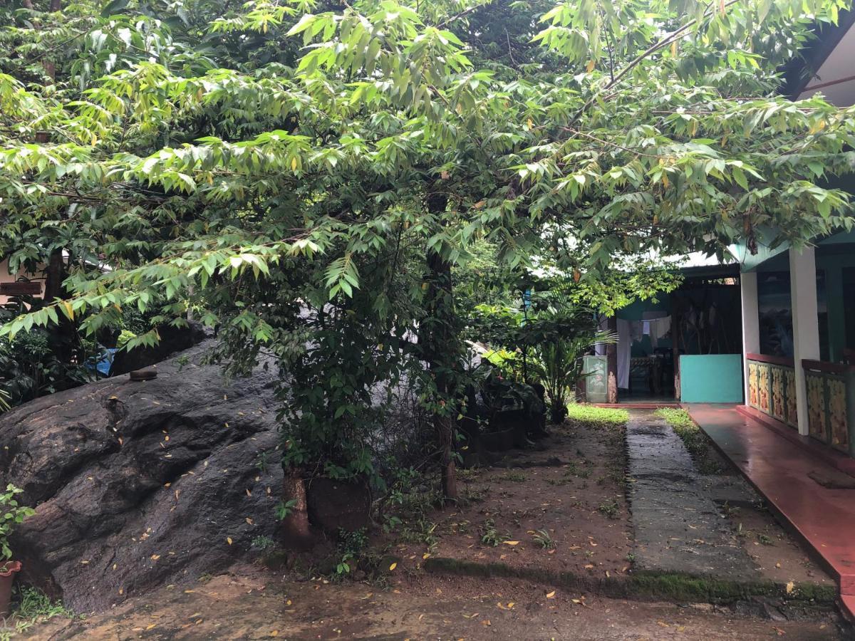 Sigiri Lion Lodge Sigiriya Buitenkant foto